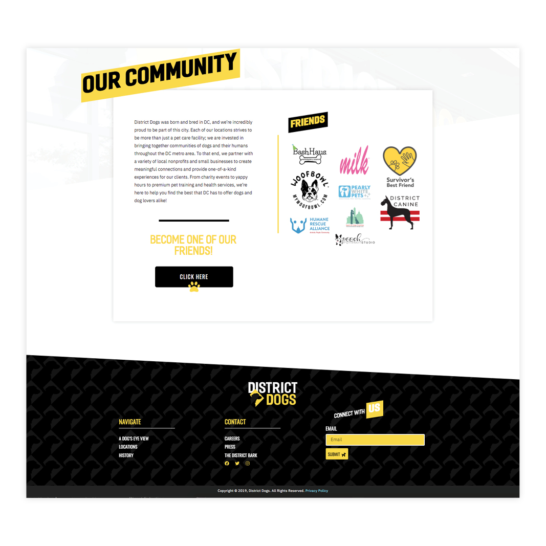 DD_Mockups6