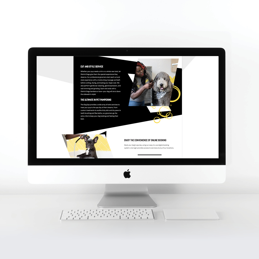 DD_Mockups_
