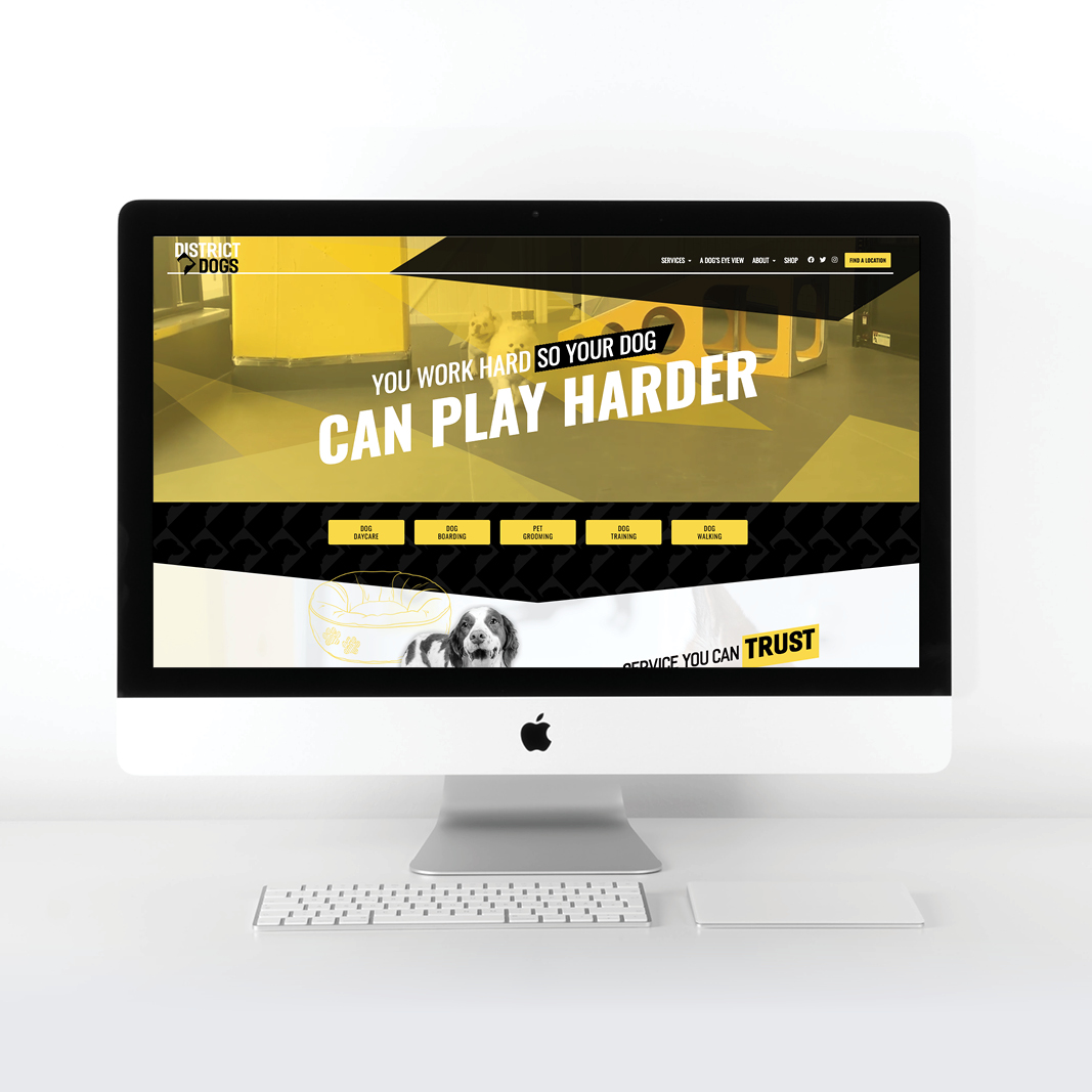 DD_Mockups____