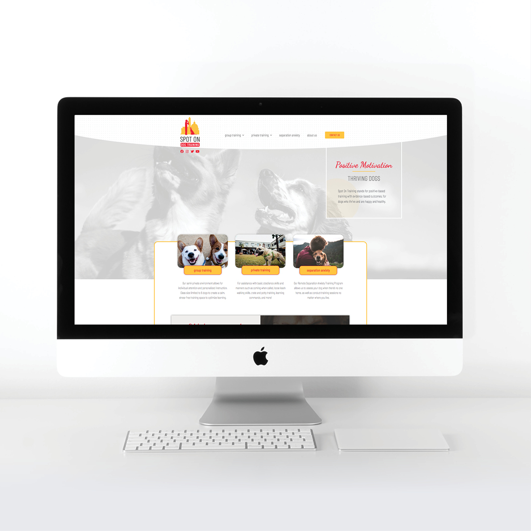 SpotOn_mockups