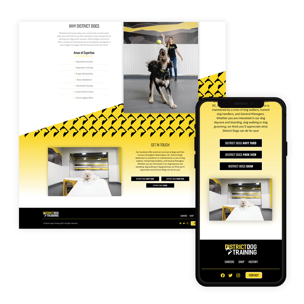 DDT_mockups_