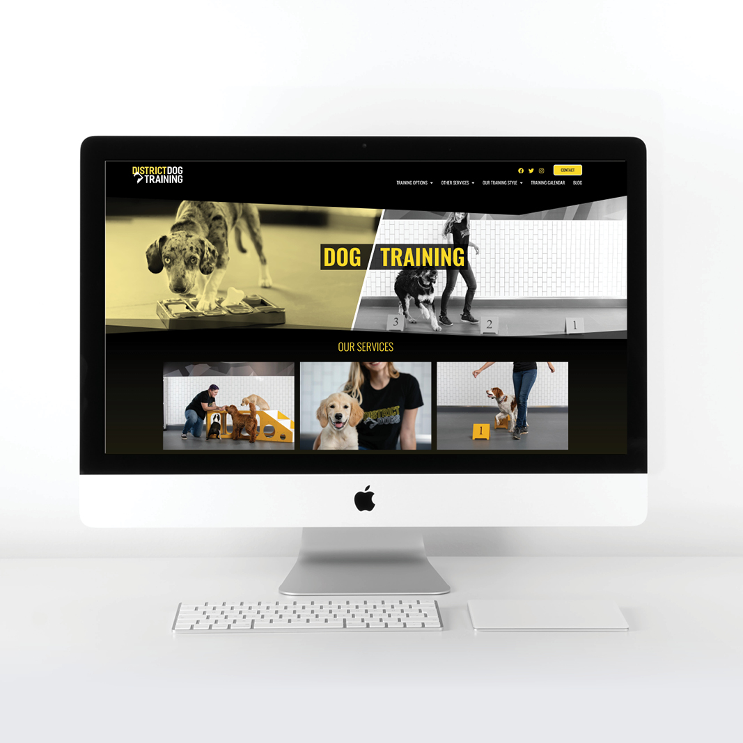 DDT_mockups_2