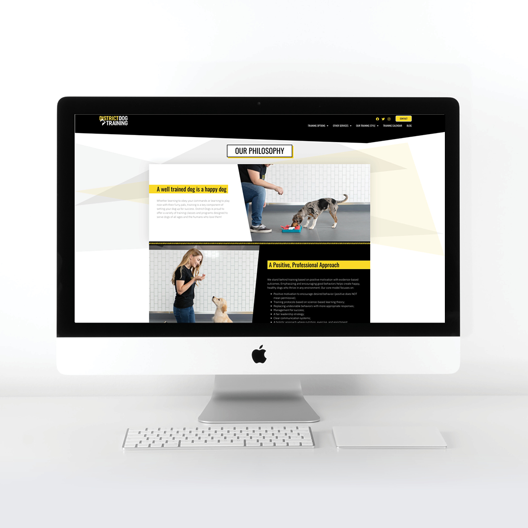 DDT_mockups_3