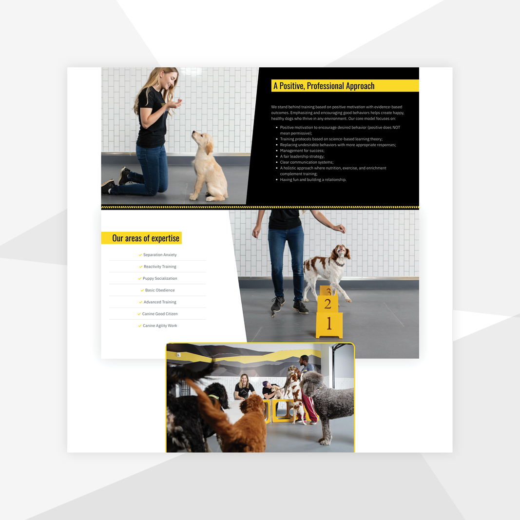 DDT_mockups_5