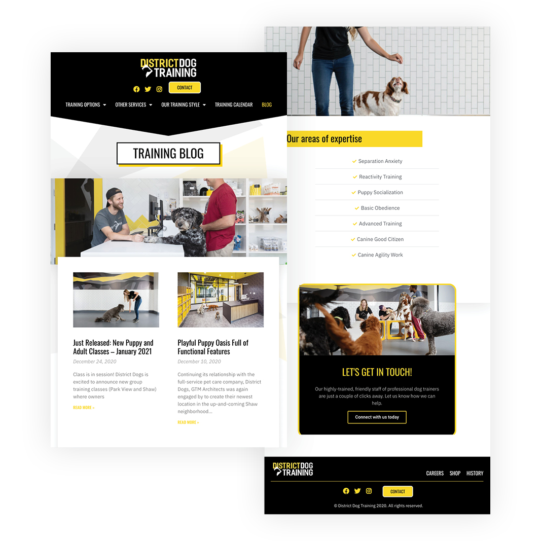DDT_mockups__
