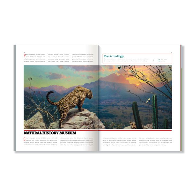 Mag_Mockups6